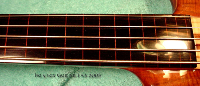 Ebony w/ tinted maple fretline